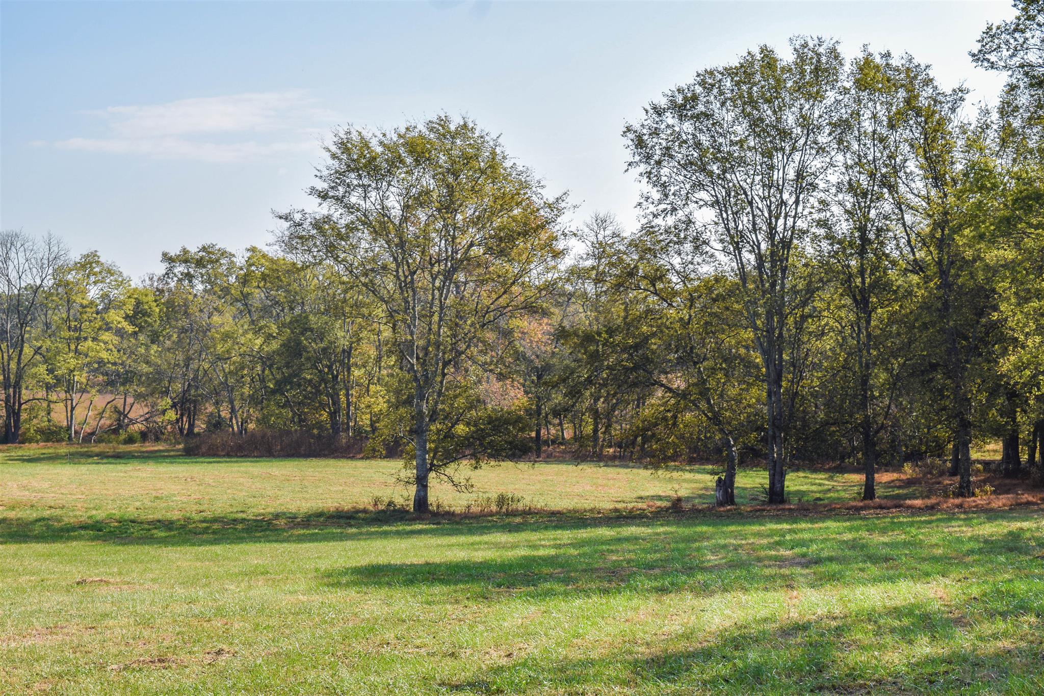 1009 B Franklin Road Gallatin, TN 37066 - Photo 8 of 16 Gallery Image 8