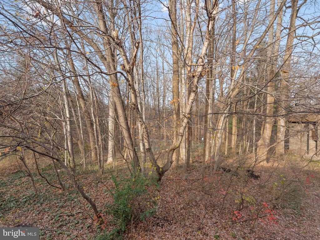 5808 Royal Ridge Drive, Unit W Springfield, VA 22152 - Photo 21 of 28 Upper level with private balcony facing the woods