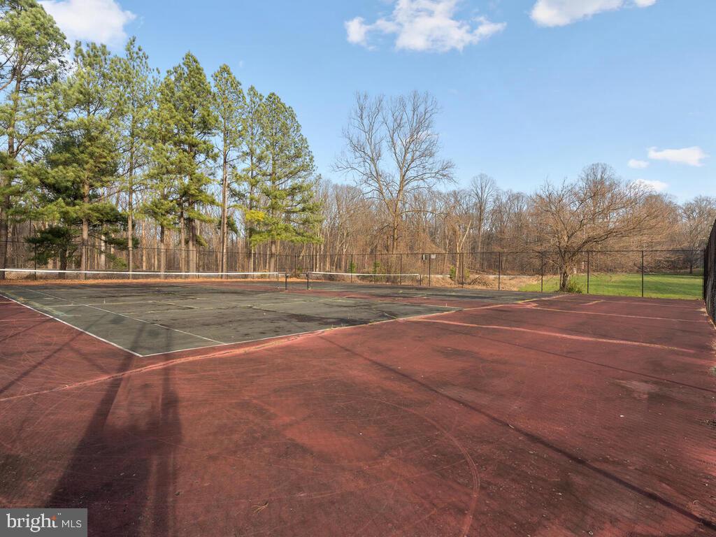 5808 Royal Ridge Drive, Unit W Springfield, VA 22152 - Photo 26 of 28 Community tennis courts
