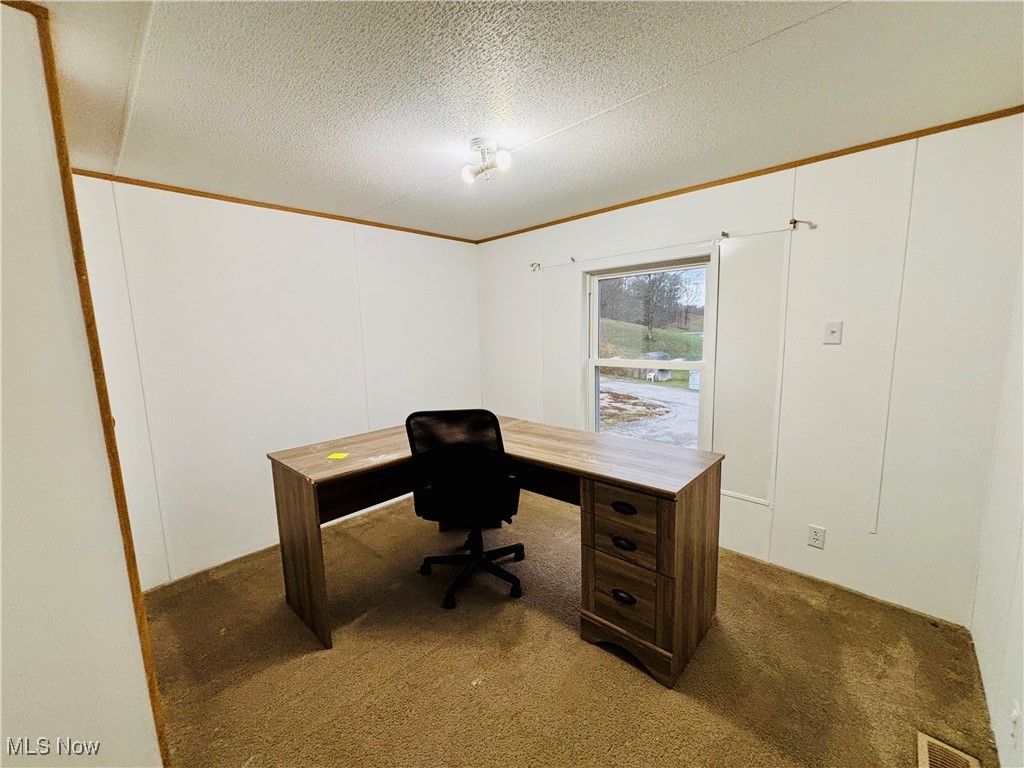 202 Pullman Road Pennsboro, WV 26415 - Photo 2 of 23 Carpeted home office with a textured ceiling