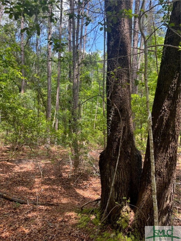 6 Oak Leaf Place Pooler, GA 31322 - Photo 3 of 4