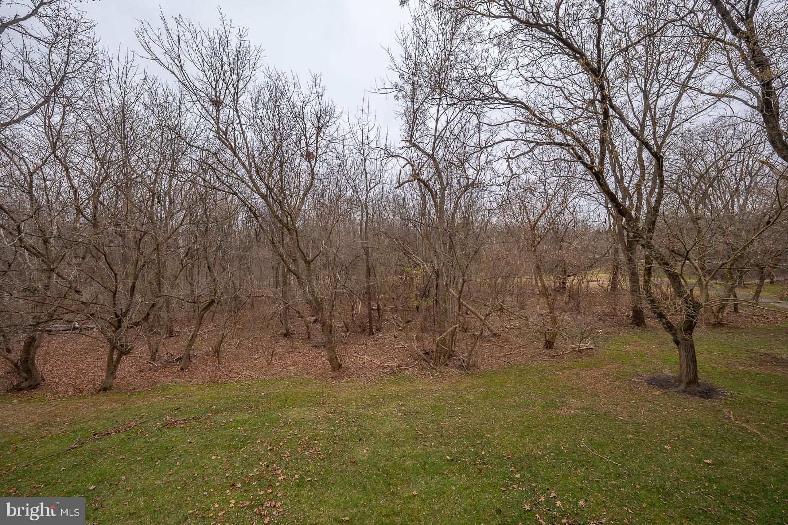 26 Rampart Drive Chesterbrook, PA 19087 - Photo 12 of 39 View from Deck