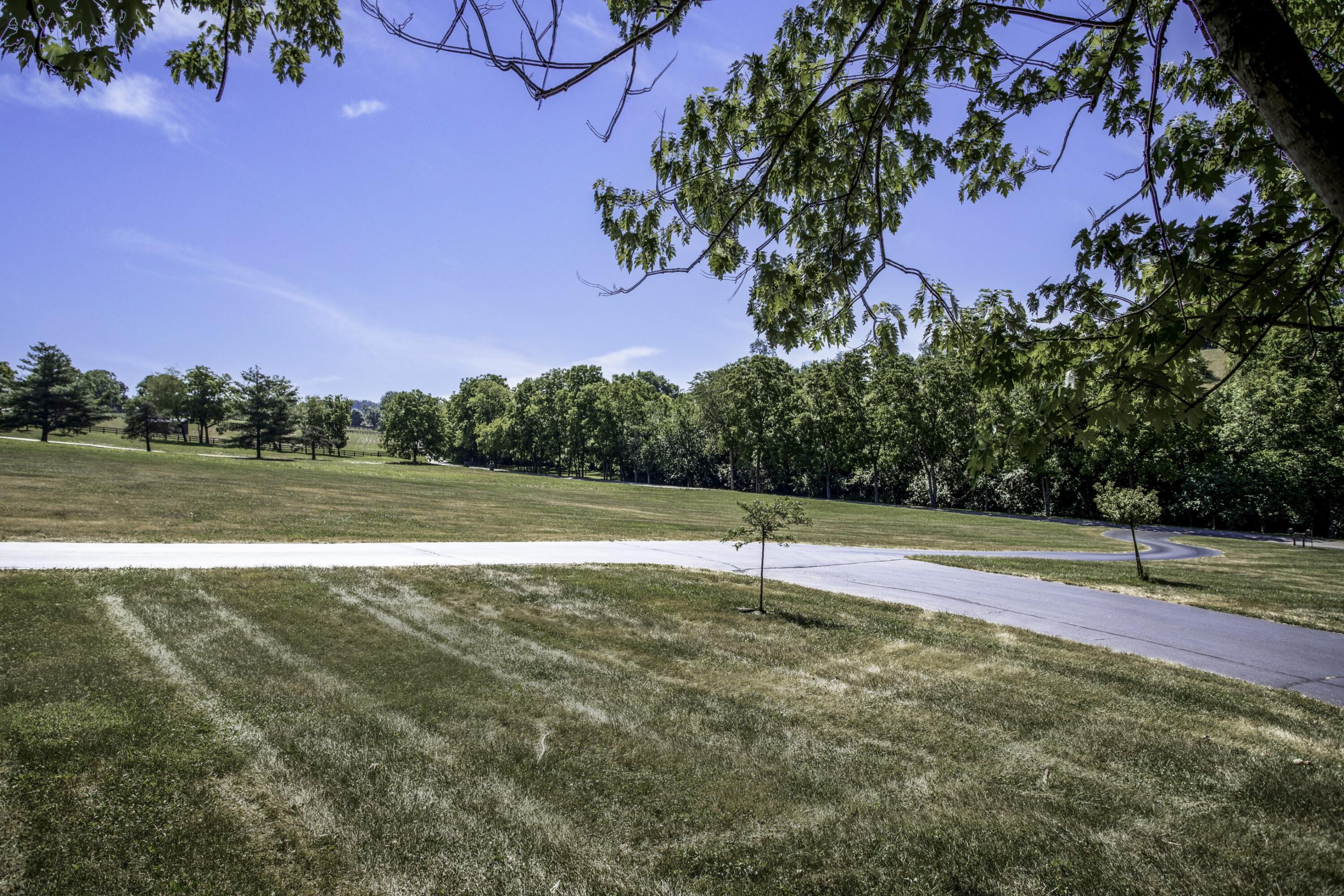 391 Gentry Road Lexington, KY 40509 - Photo 29 of 72 391 Gentry J (Custom)