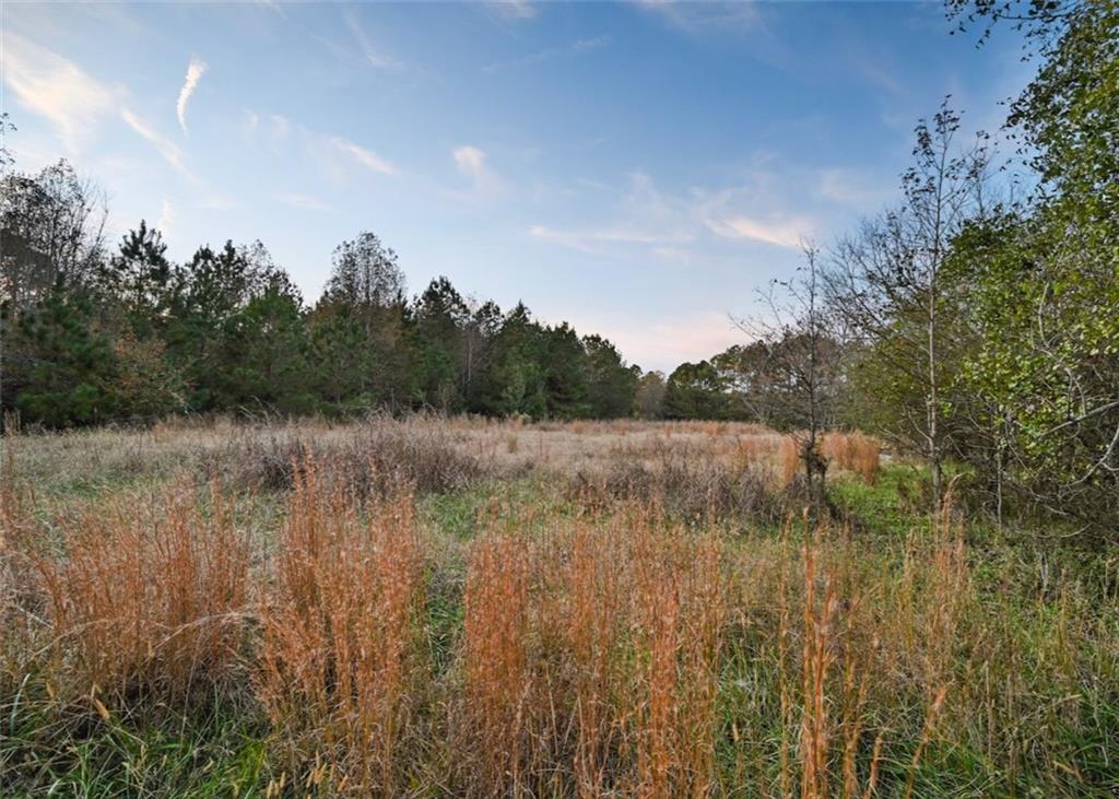 4000 Bostwick Road Madison, GA 30650 - Photo 12 of 34 a view of lake with green space