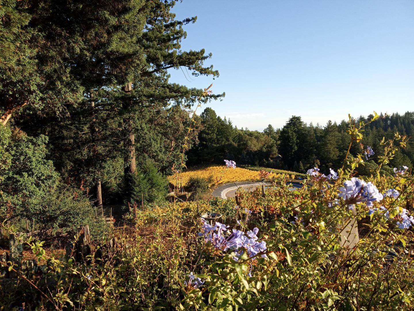 1580 Tindall Ranch Road Watsonville, CA 95076 - Photo 46 of 145 Gallery Image 46