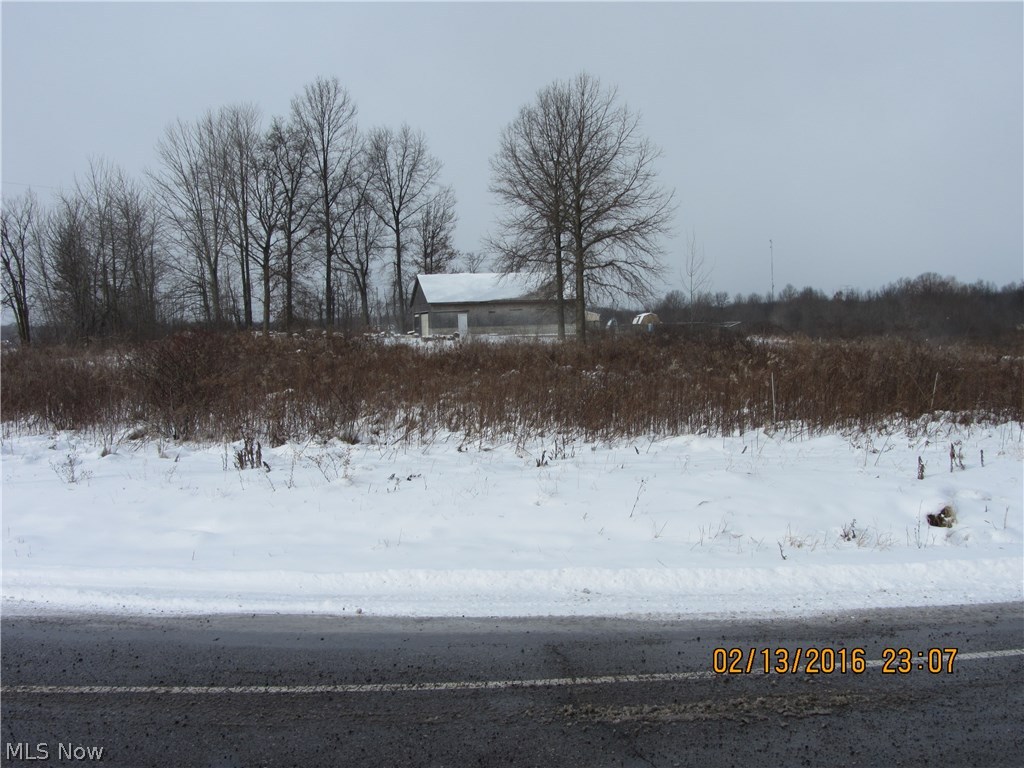 515 Carson Salt Springs Road Warren, OH 44481 - Photo 3 of 3 Gallery Image 3