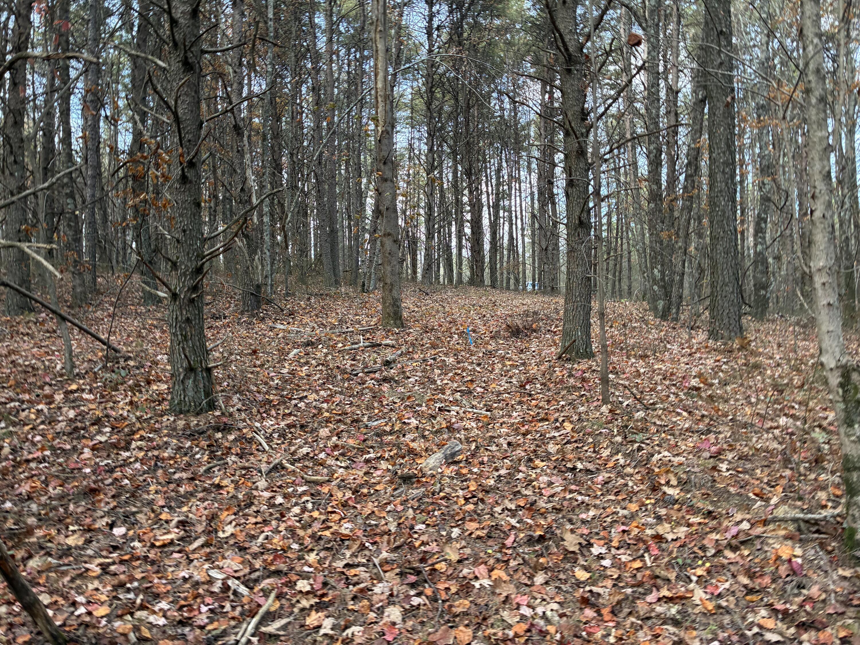360 Bootleg Bend, Unit 2182 Guild, TN 37340 - Photo 23 of 23 IMG_3012