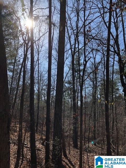 0 Blackjack Road, Unit 24 Trussville, AL 35173 - Photo 20 of 21