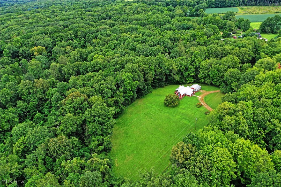 7975 Milligan East Road Kinsman, OH 44428 - Photo 5 of 49