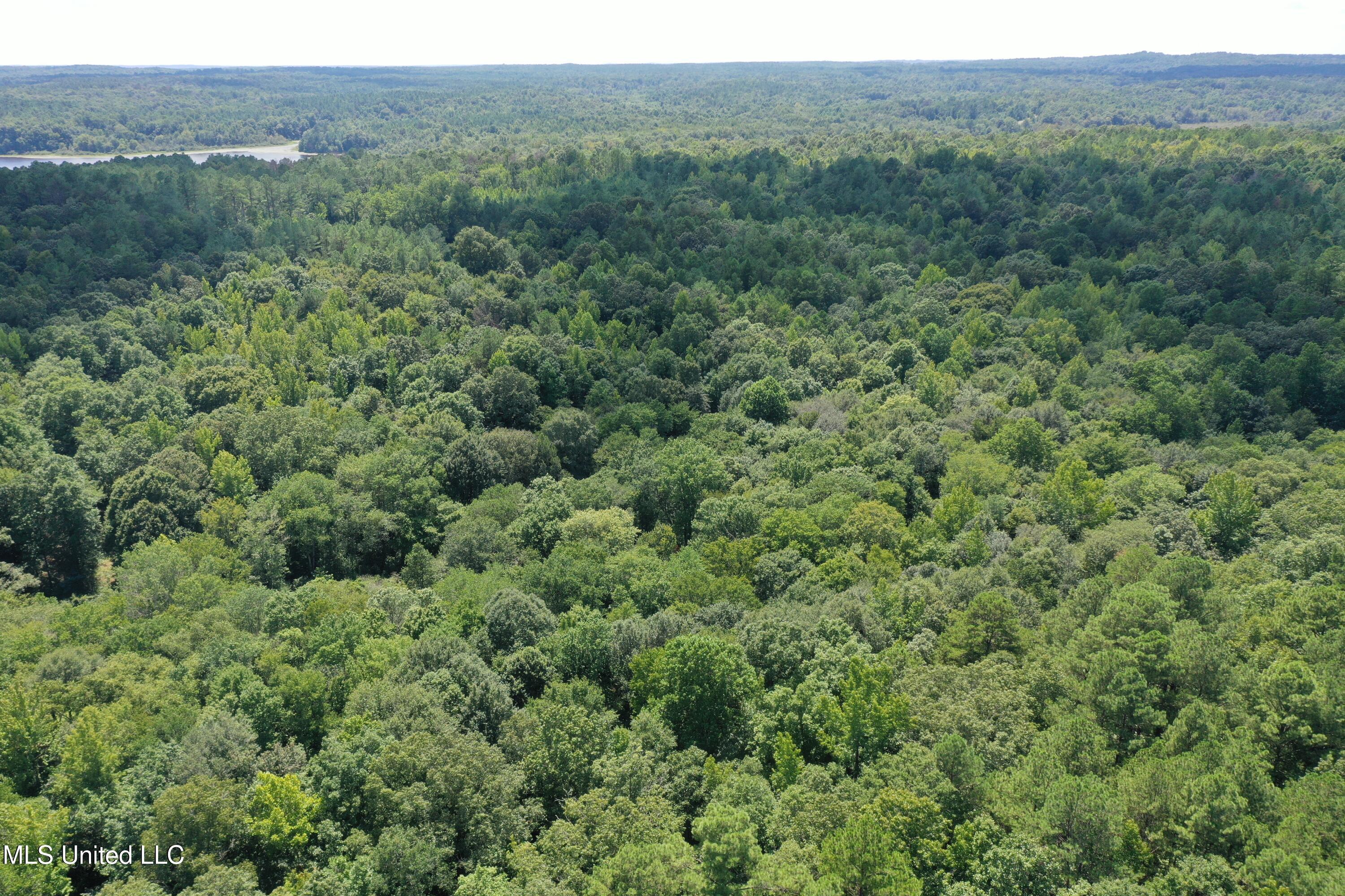 2997 Reaves Road Holly Springs, MS 38635 - Photo 1 of 14 land