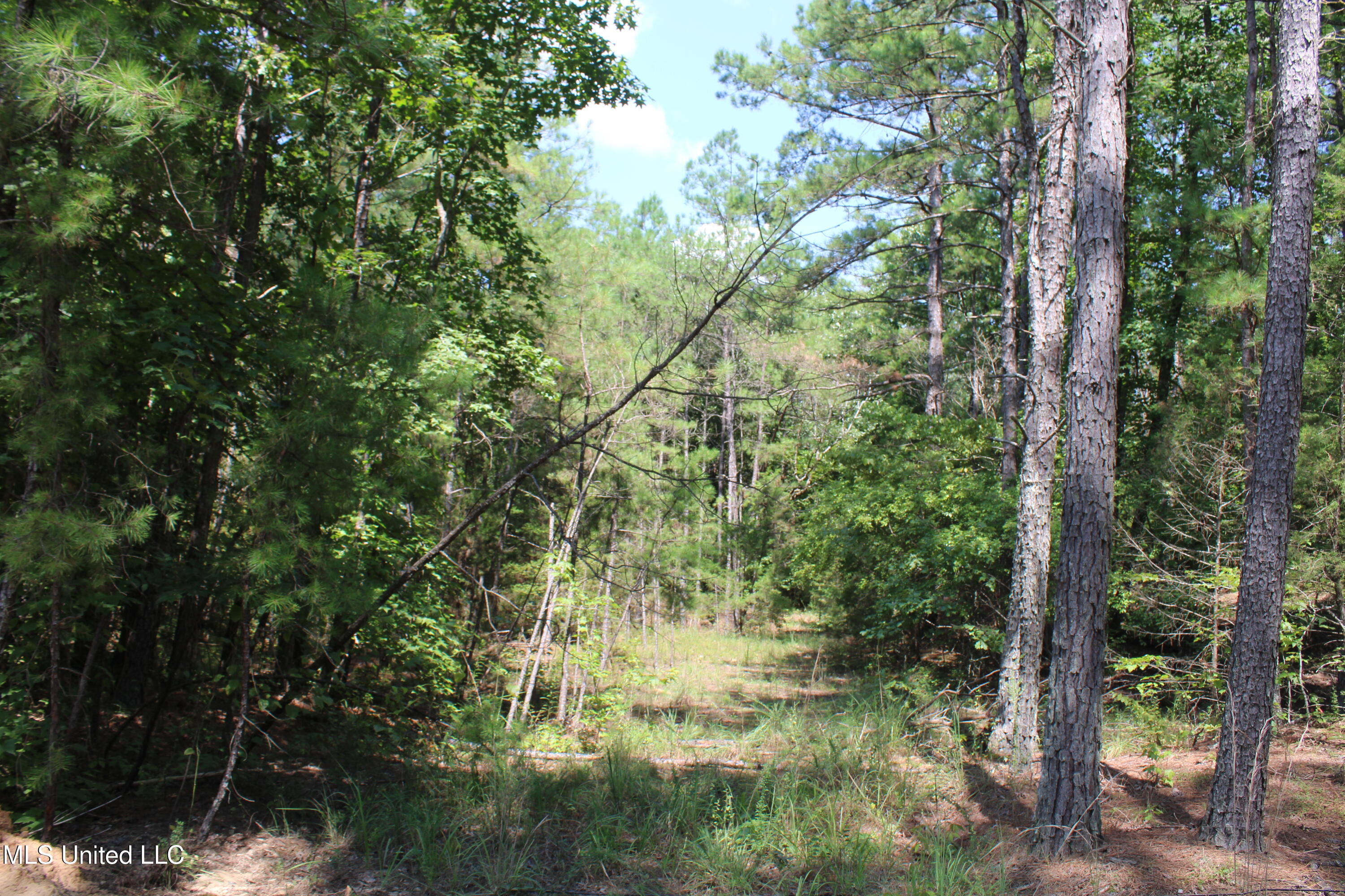 2997 Reaves Road Holly Springs, MS 38635 - Photo 11 of 14 IMG_4298