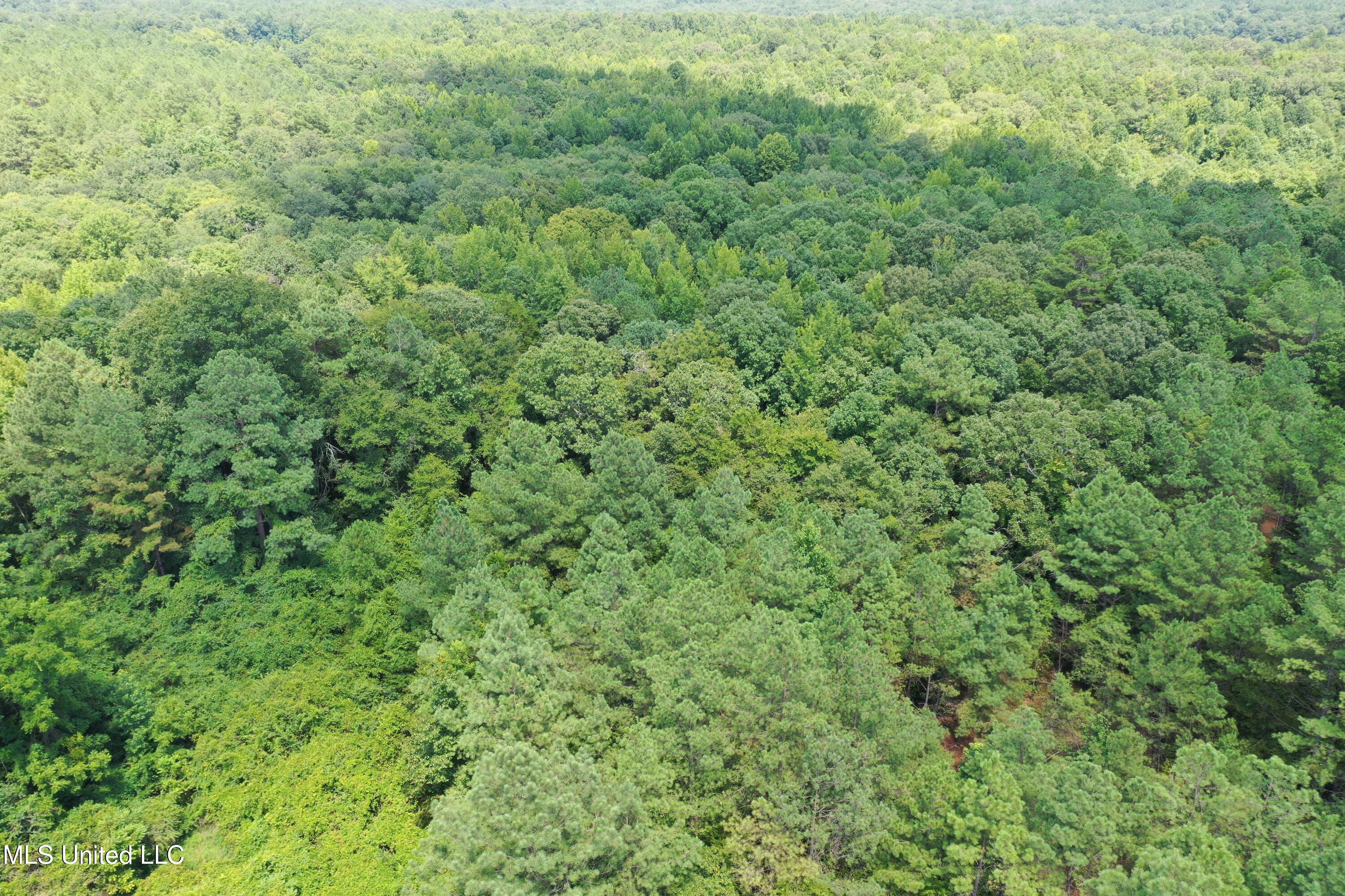 2997 Reaves Road Holly Springs, MS 38635 - Photo 2 of 14 DJI_0415