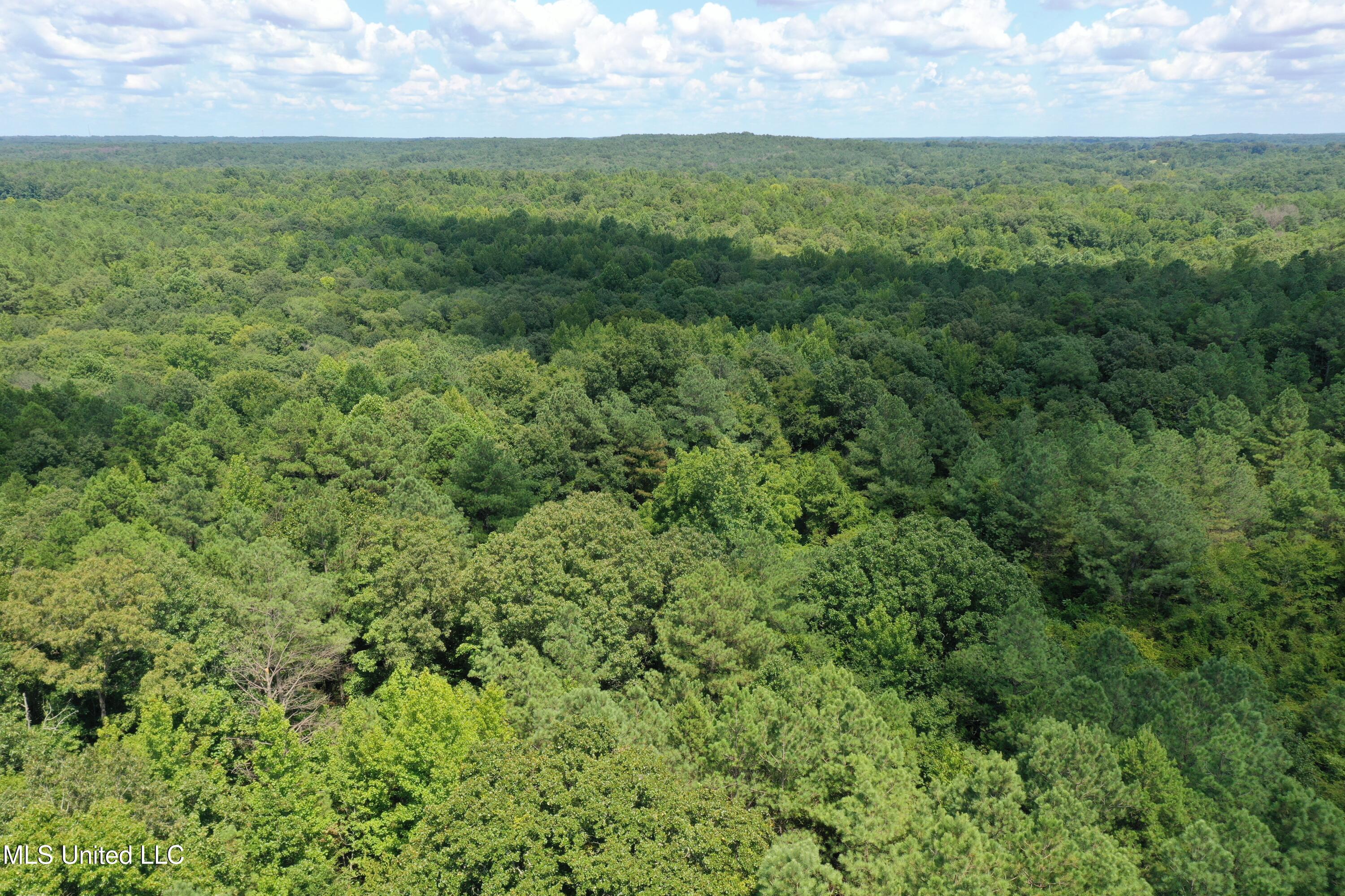 2997 Reaves Road Holly Springs, MS 38635 - Photo 3 of 14 DJI_0416