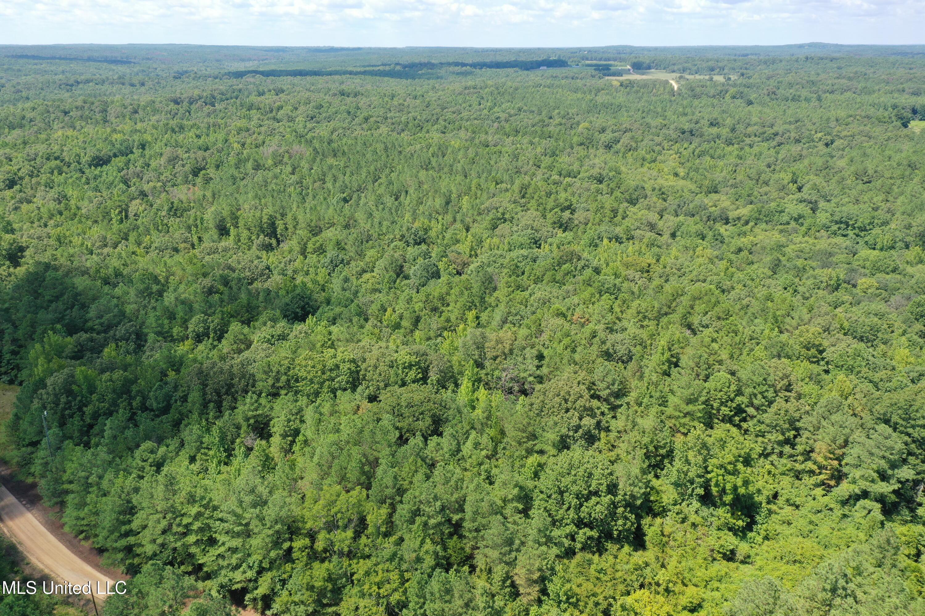 2997 Reaves Road Holly Springs, MS 38635 - Photo 4 of 14 DJI_0418