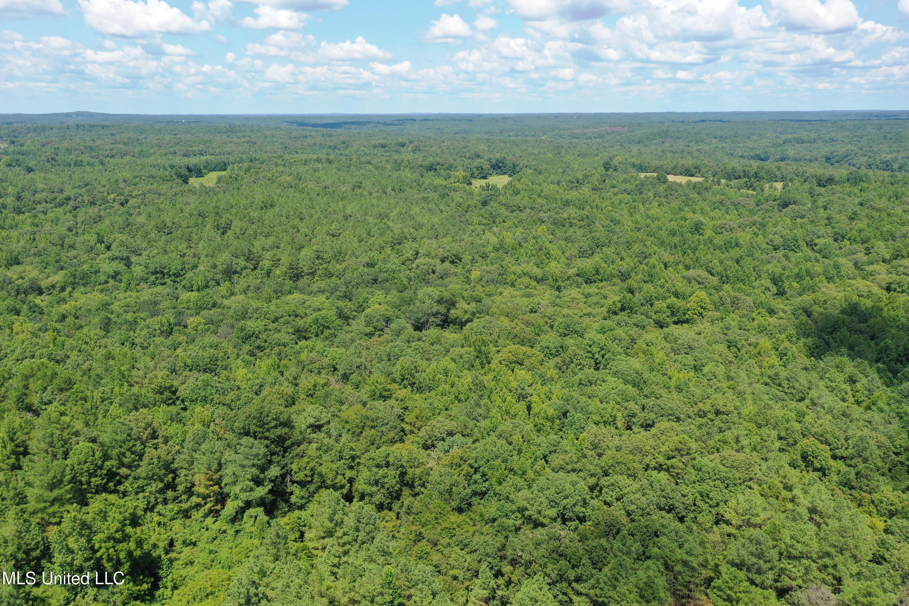 2997 Reaves Road Holly Springs, MS 38635 - Photo 5 of 14 DJI_0419