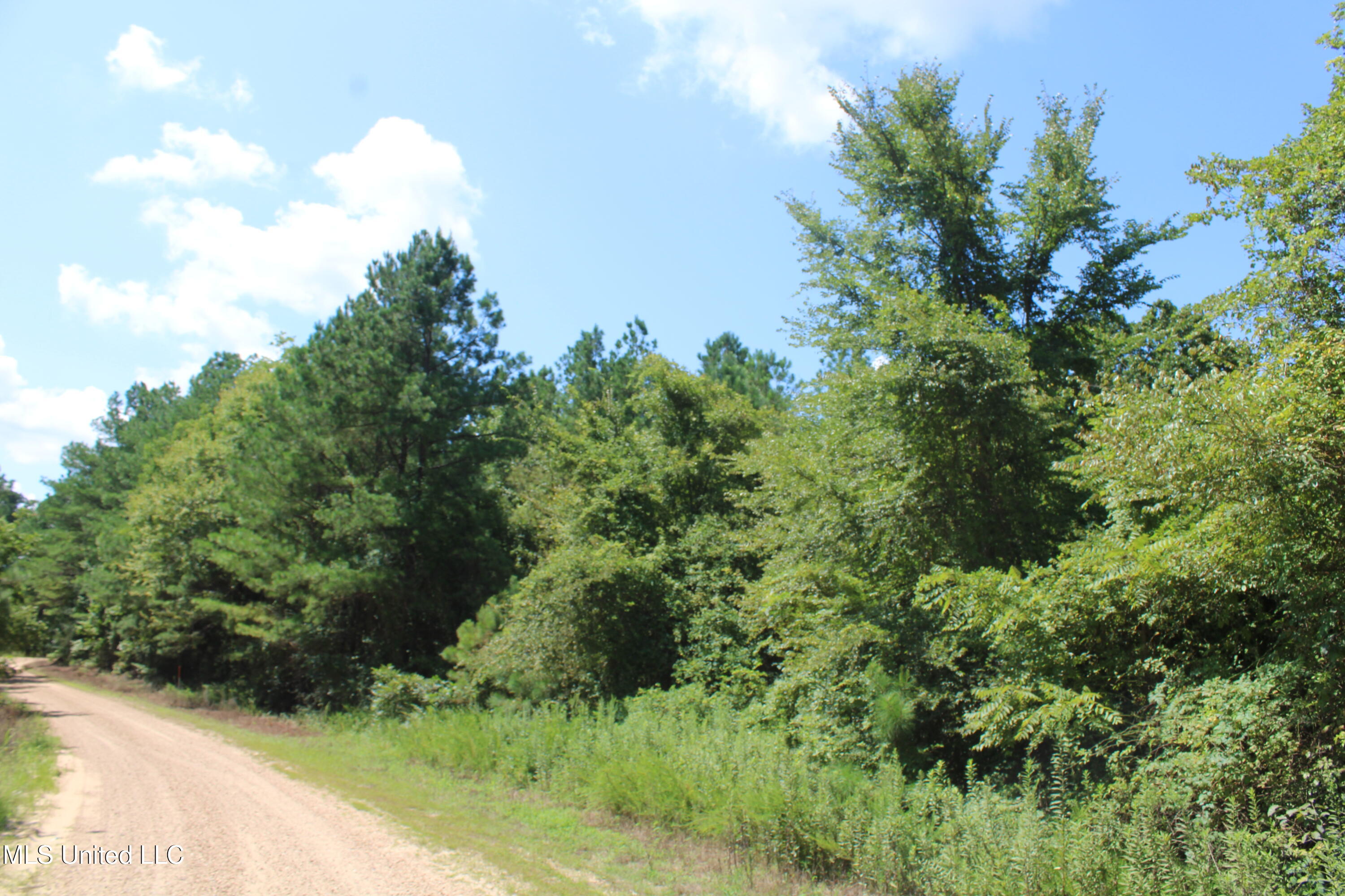 2997 Reaves Road Holly Springs, MS 38635 - Photo 6 of 14 IMG_4293