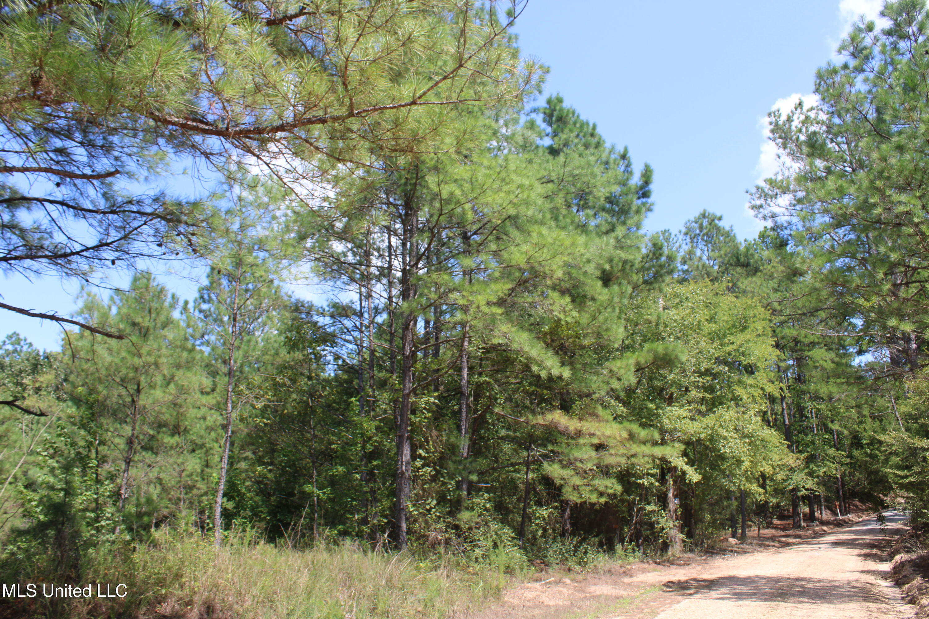 2997 Reaves Road Holly Springs, MS 38635 - Photo 7 of 14 IMG_4294