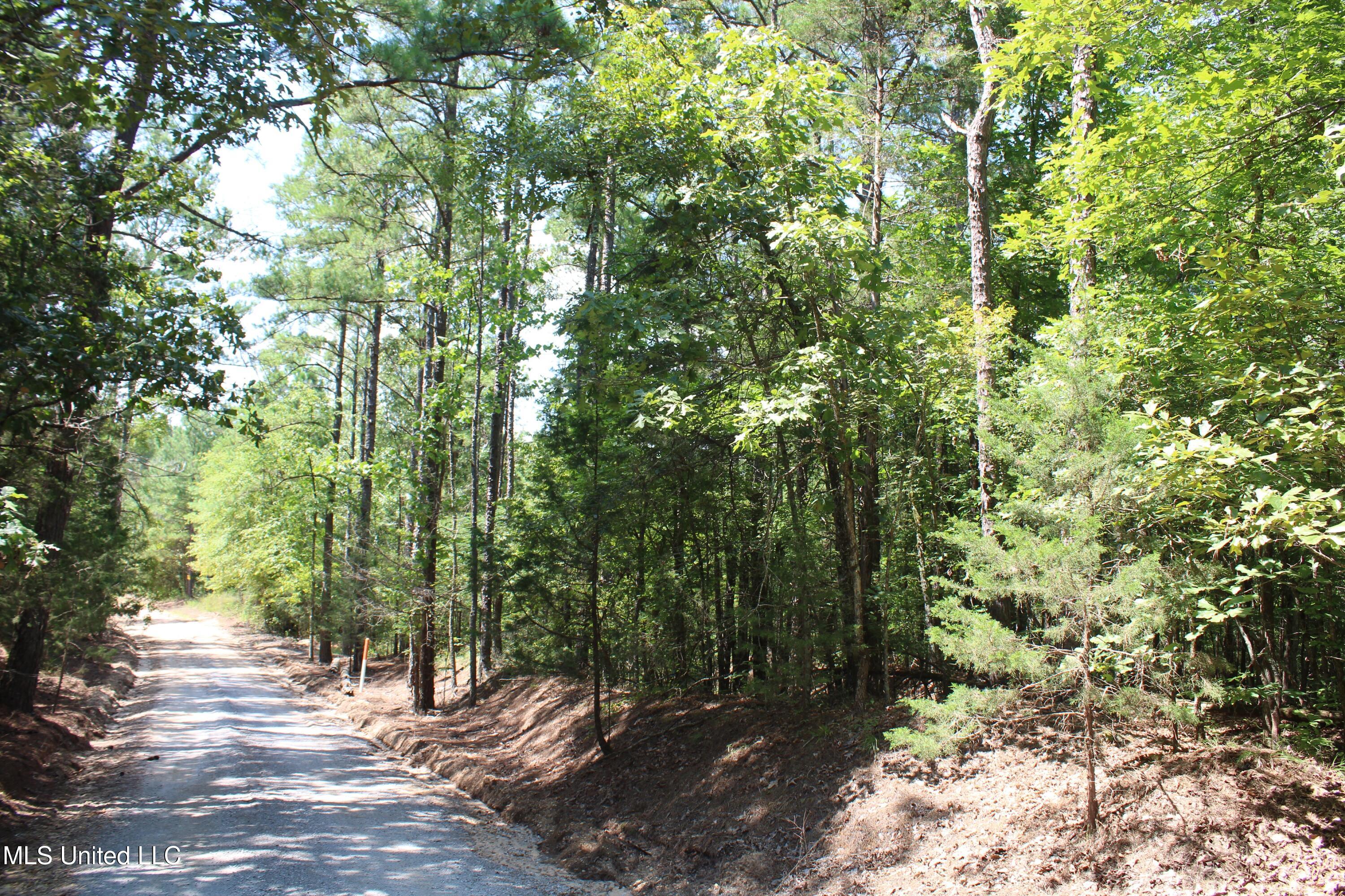 2997 Reaves Road Holly Springs, MS 38635 - Photo 9 of 14 IMG_4296