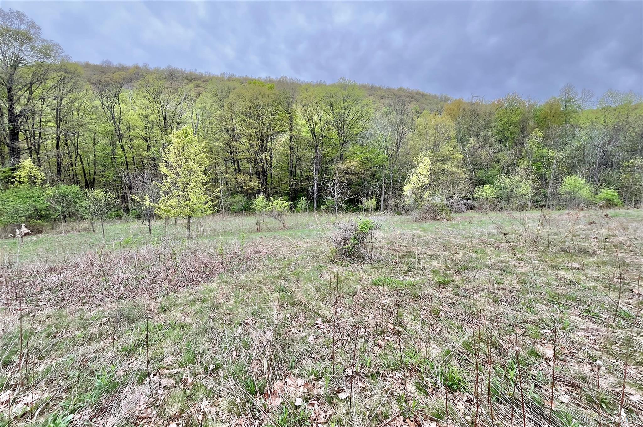 430 Kirbytown Road Middletown, NY 10940 - Photo 14 of 37