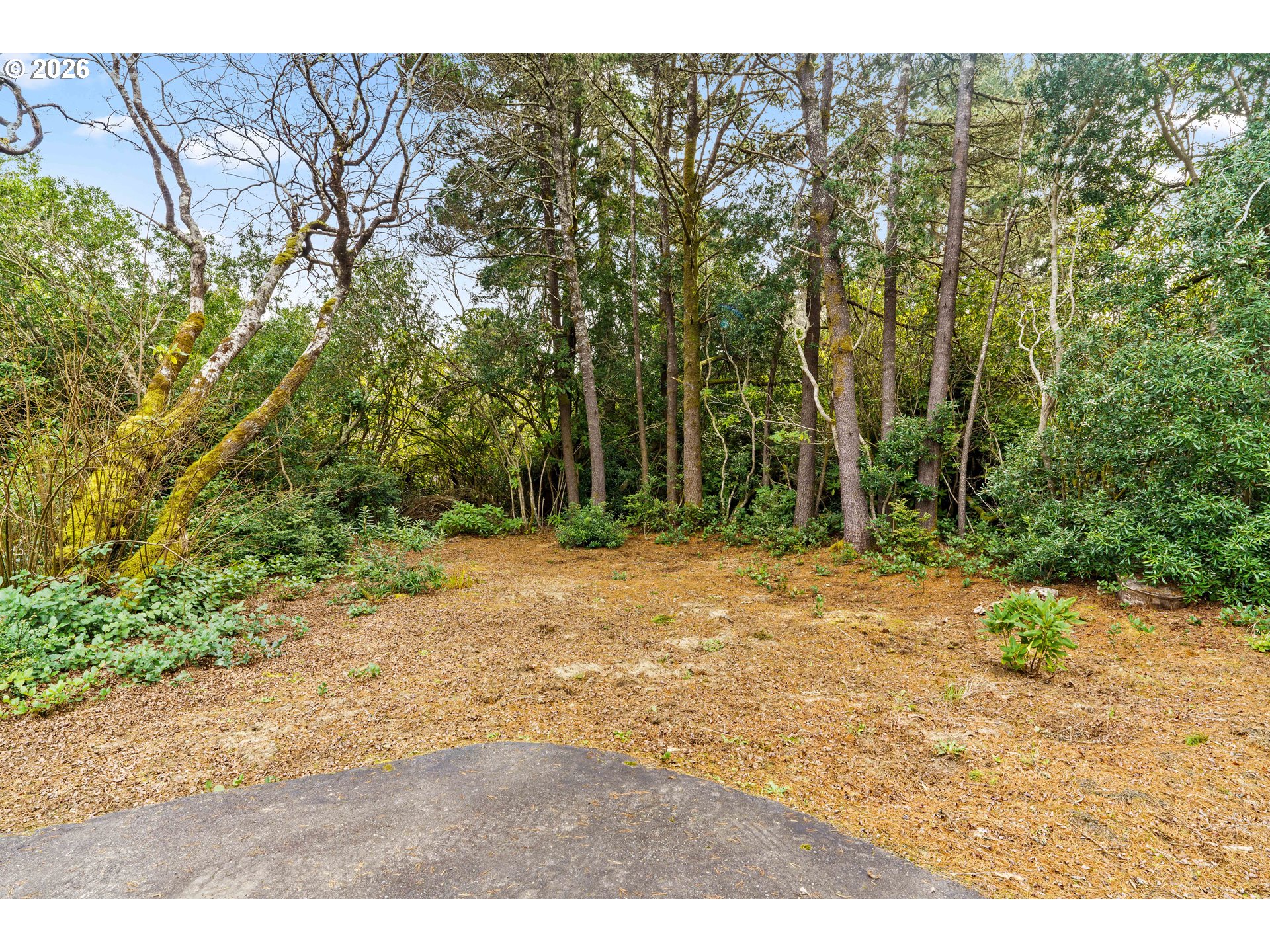 4835 Gloria Gayle Way Florence, OR 97439 - Photo 34 of 46