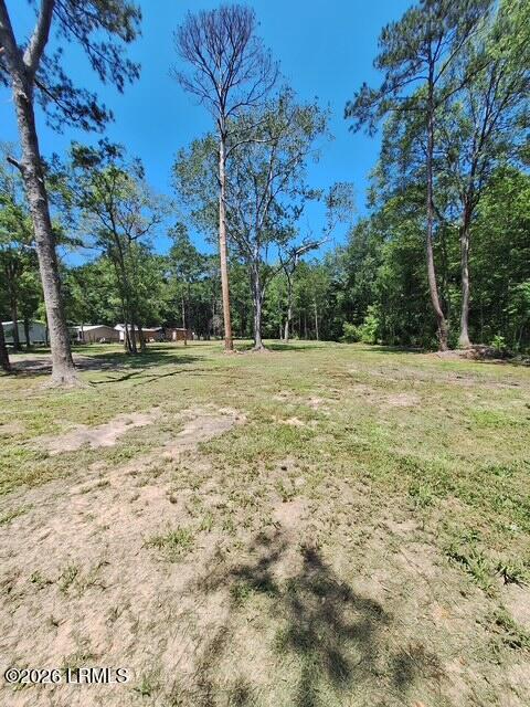 293 Meredith Road Ridgeland, SC 29936 - Photo 35 of 37 1000089328