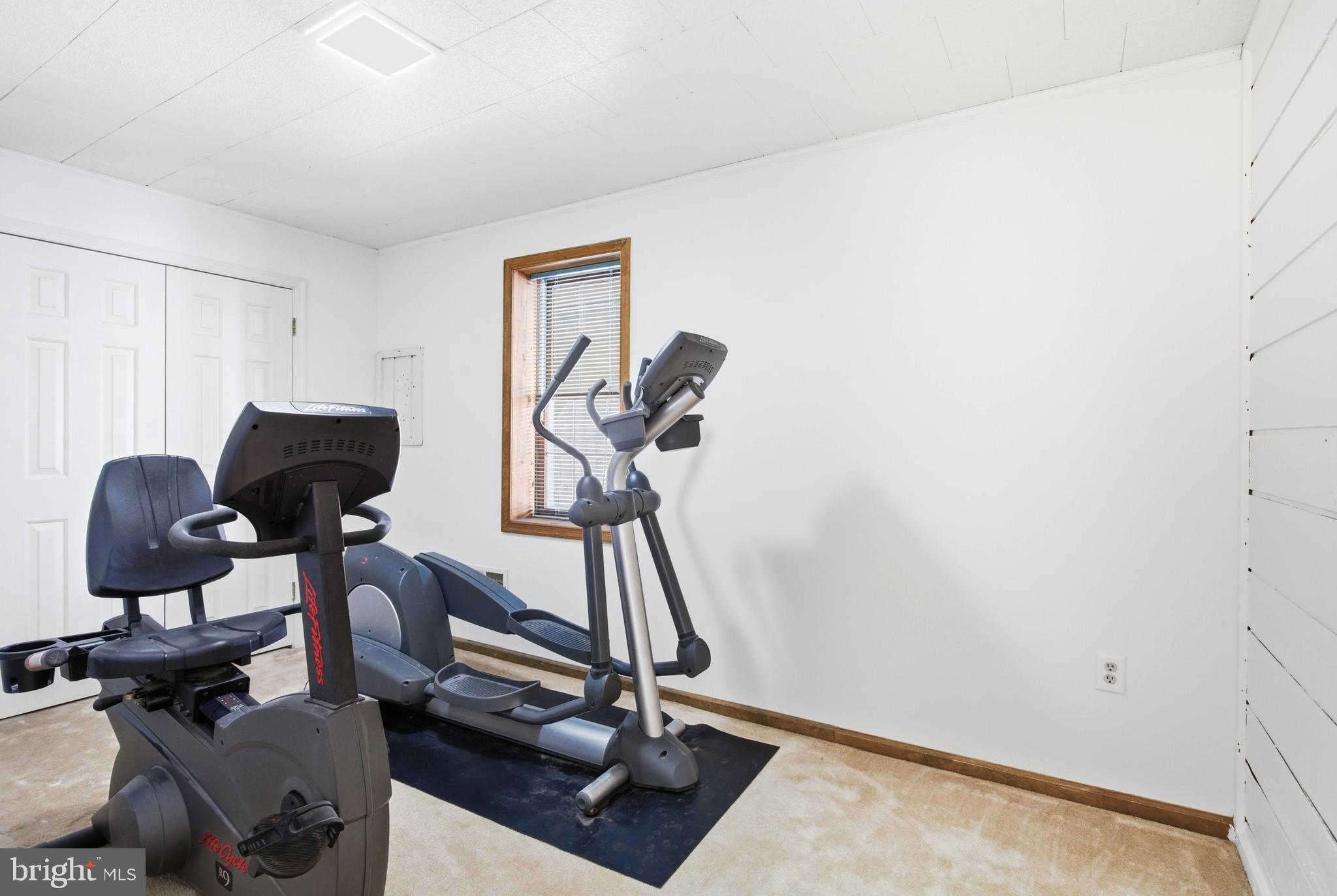 11316 Robert Carter Road Fairfax Station, VA 22039 - Photo 26 of 56 a view of workspace with gym equipment