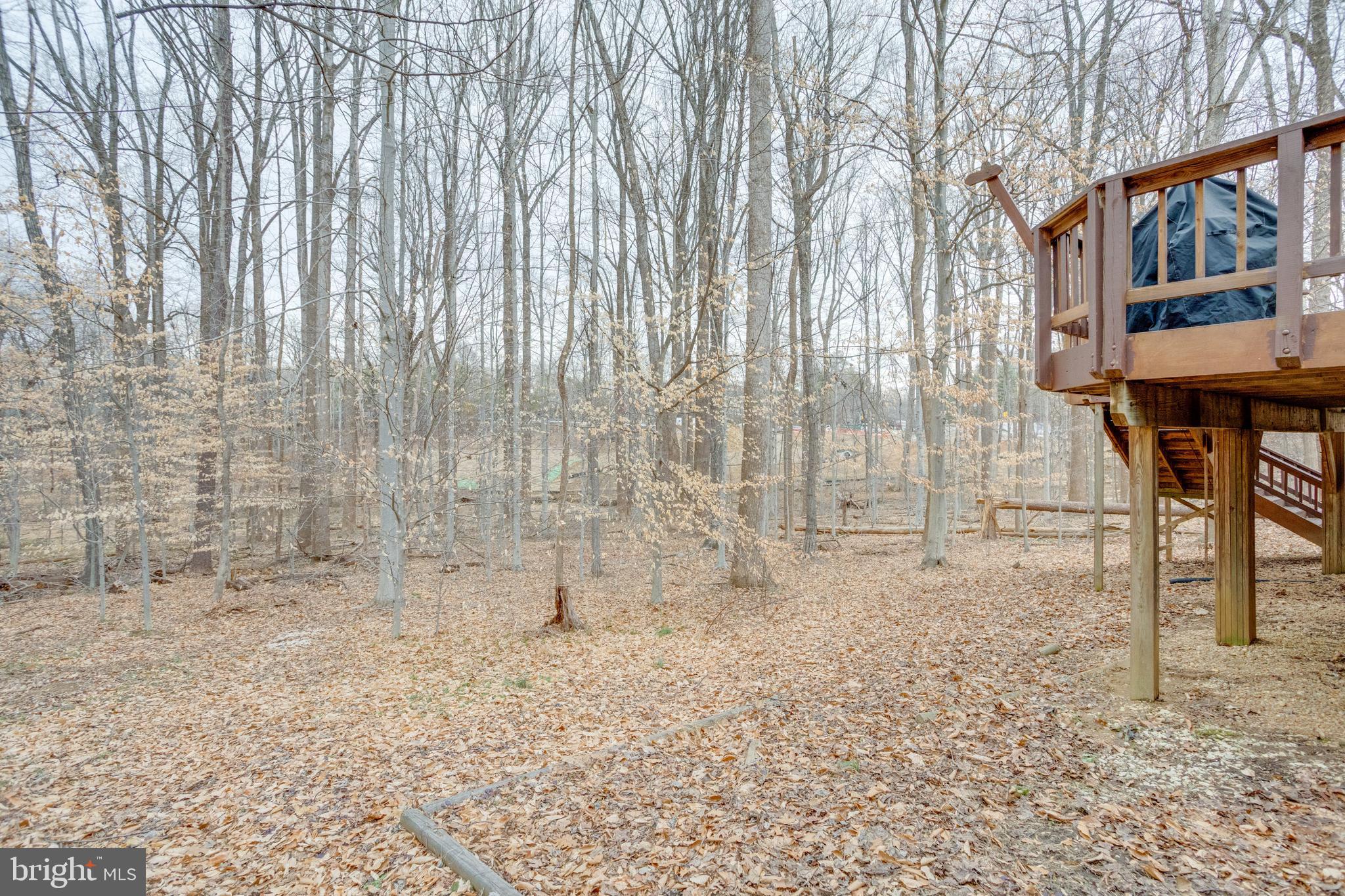 11316 Robert Carter Road Fairfax Station, VA 22039 - Photo 56 of 56 a view of outdoor space with seating area
