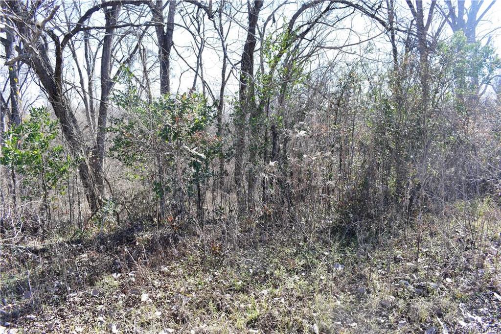 0 Schoolhouse Road Cloutierville, LA 71416 - Photo 13 of 16 Gallery Image 13