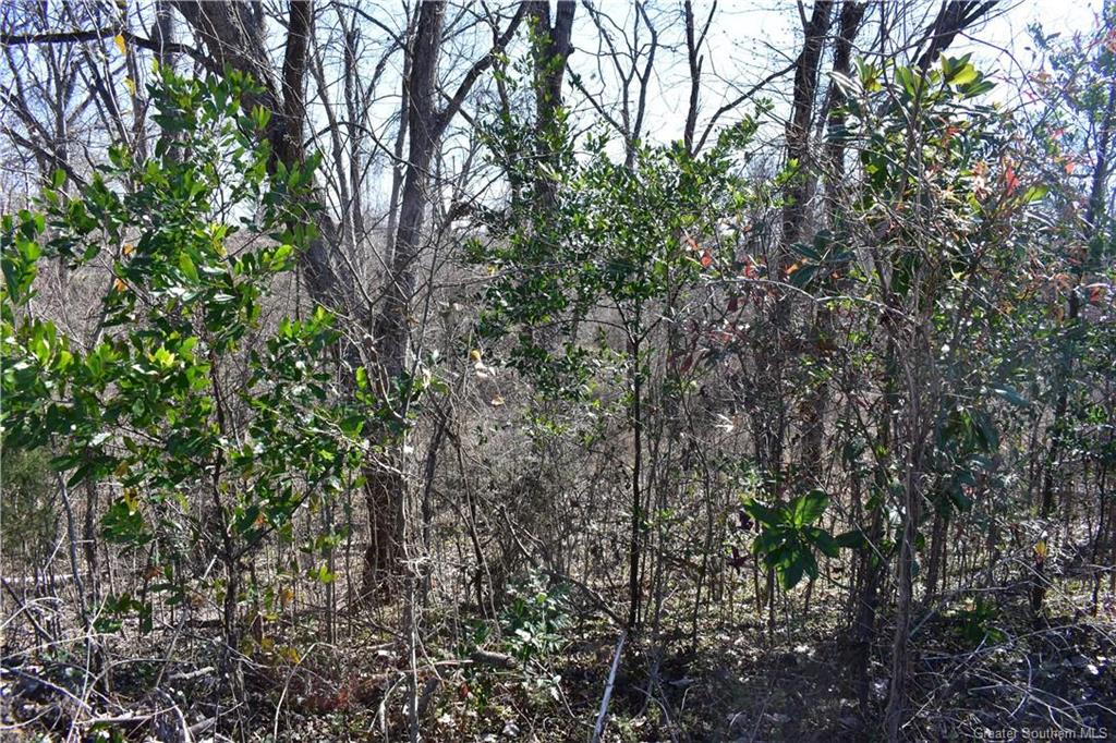 0 Schoolhouse Road Cloutierville, LA 71416 - Photo 15 of 16 Gallery Image 15