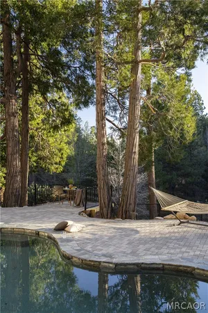 a view of a park with large trees