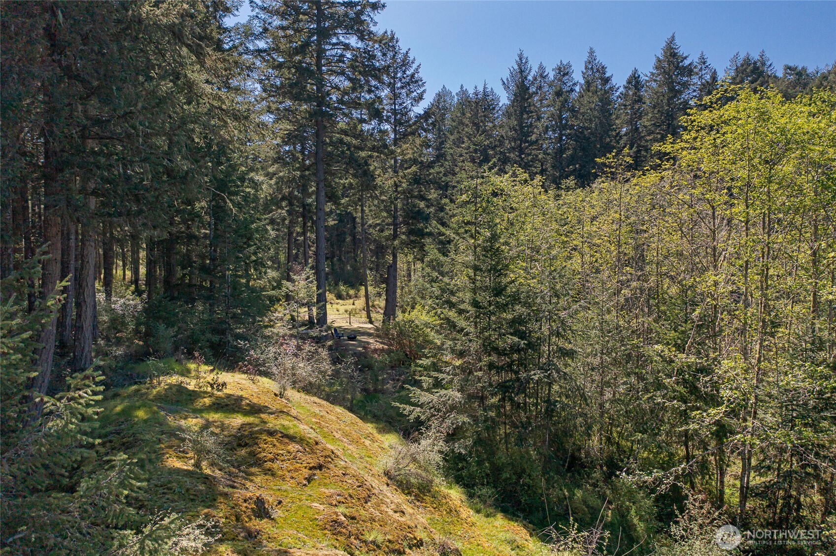 722 Prohaska Road Friday Harbor, WA 98250 - Photo 39 of 40 Gallery Image 39