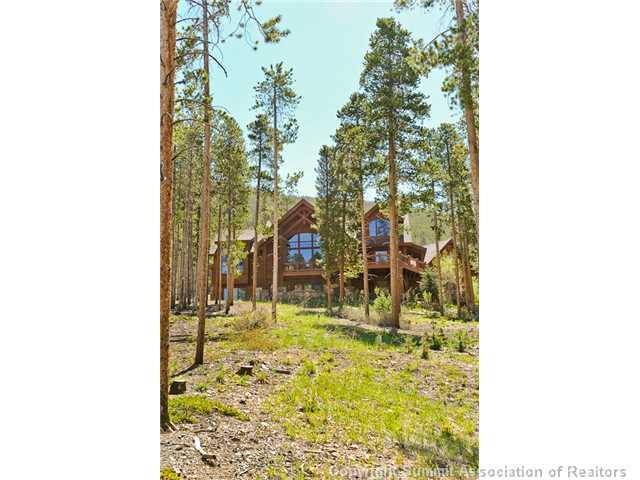317 Mountain Bluebell Road Keystone, CO 80435 - Photo 3 of 25