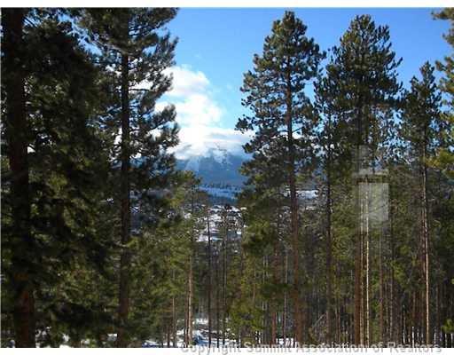 317 Mountain Bluebell Road Keystone, CO 80435 - Photo 25 of 25