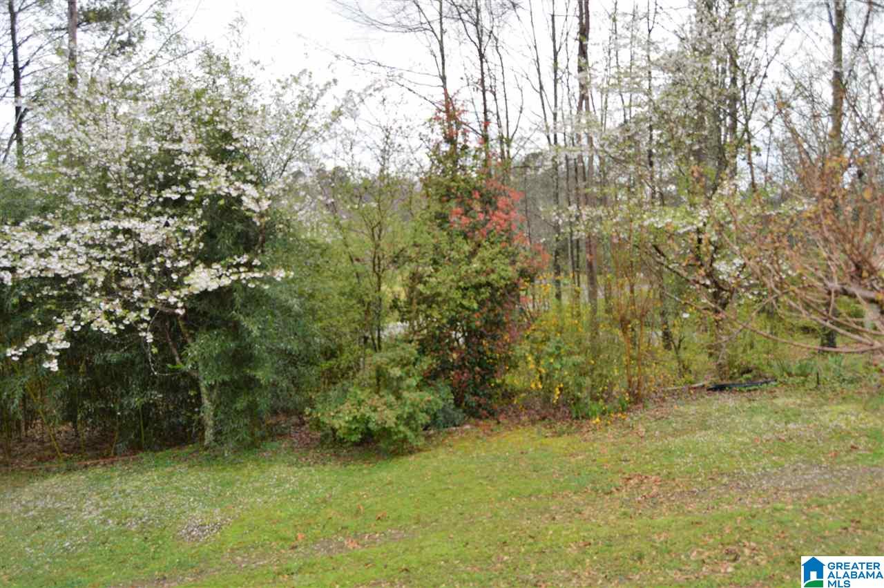 195 2nd Street Sumiton, AL 35148 - Photo 35 of 40