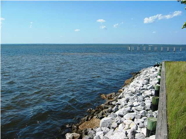 100-bay Driftwood Point Road Santa Rosa Beach, FL 32459 - Photo 4 of 6 a view of an ocean