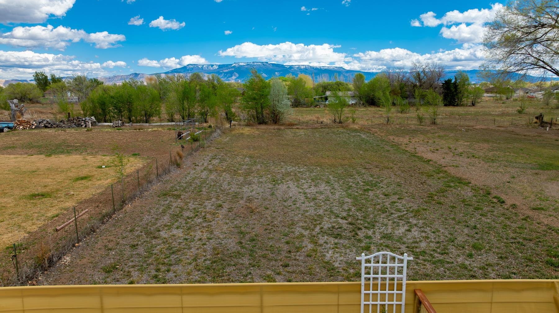 256-29 29 1/2 Road Grand Junction, CO 81503 - Photo 4 of 40