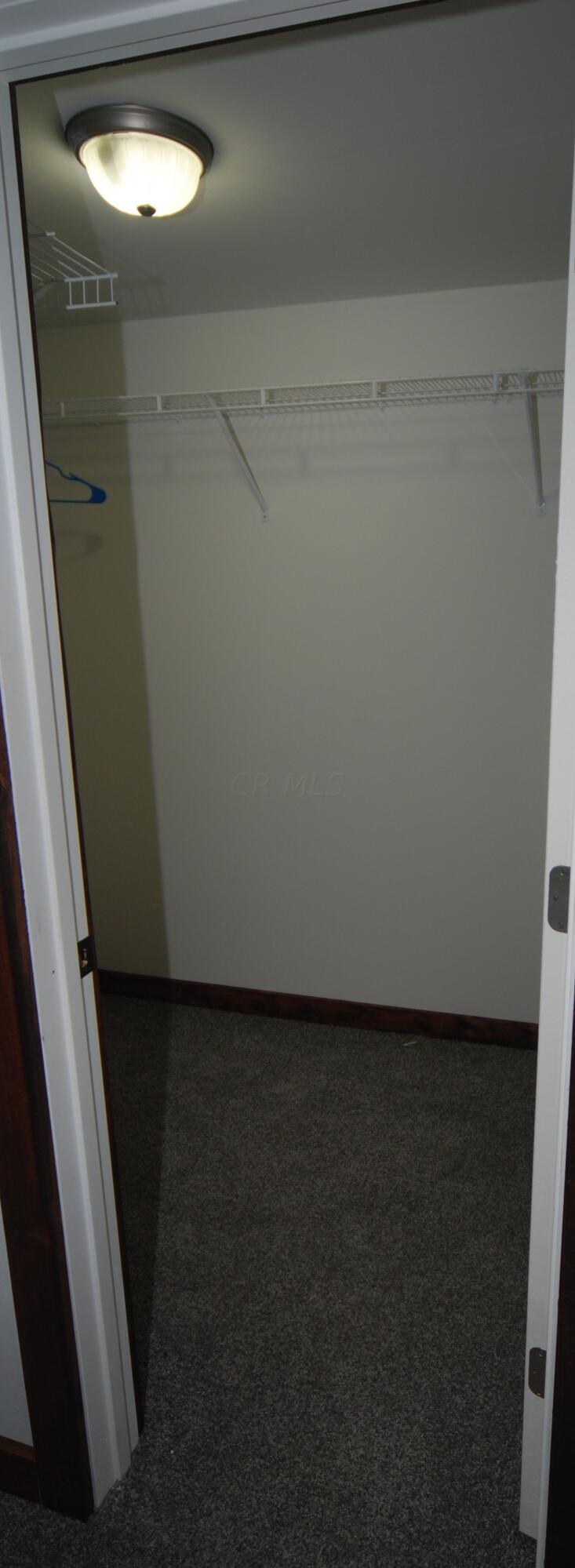 4858 Hedley Road Radnor, OH 43066 - Photo 10 of 24 walk in closet