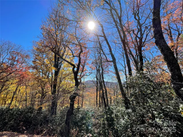 $17,999 | Lot 10 Shirley Pressley Road, Unit 10, Glenville, NC 28736