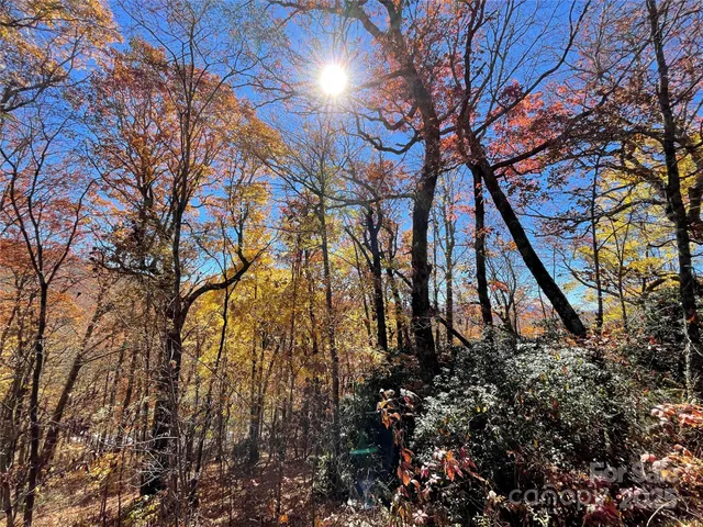 $17,999 | Lot 10 Shirley Pressley Road, Unit 10, Glenville, NC 28736