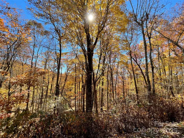 $17,999 | Lot 10 Shirley Pressley Road, Unit 10, Glenville, NC 28736