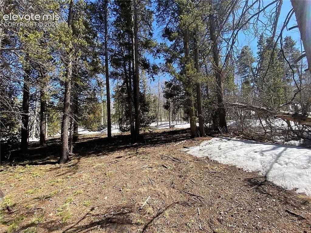 2202 High Creek Road Fairplay, CO 80440 - Photo 5 of 6 Gallery Image 5