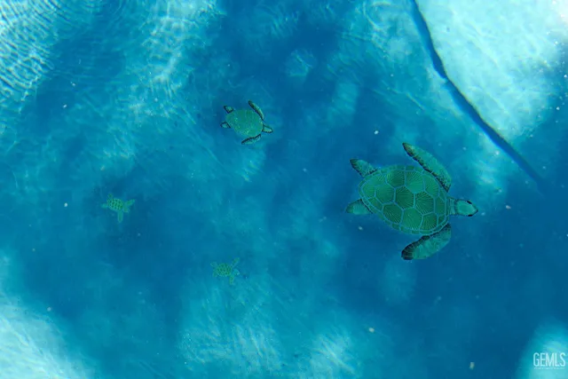 $569,000 | Undisclosed Address, Bakersfield, CA 93308