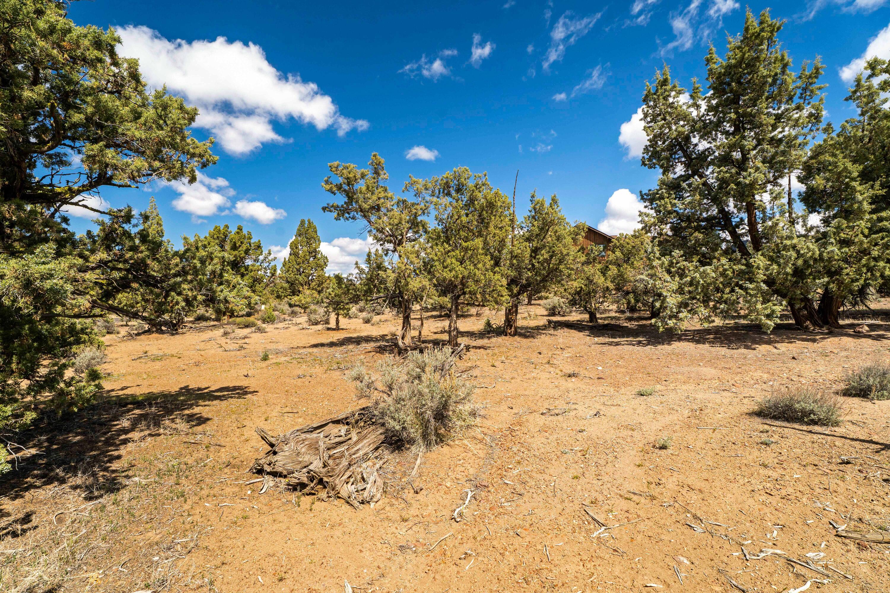 16539 South W Vaqueros Way, Unit 6 Powell Butte, OR 97753 - Photo 7 of 25 10-Lot 6