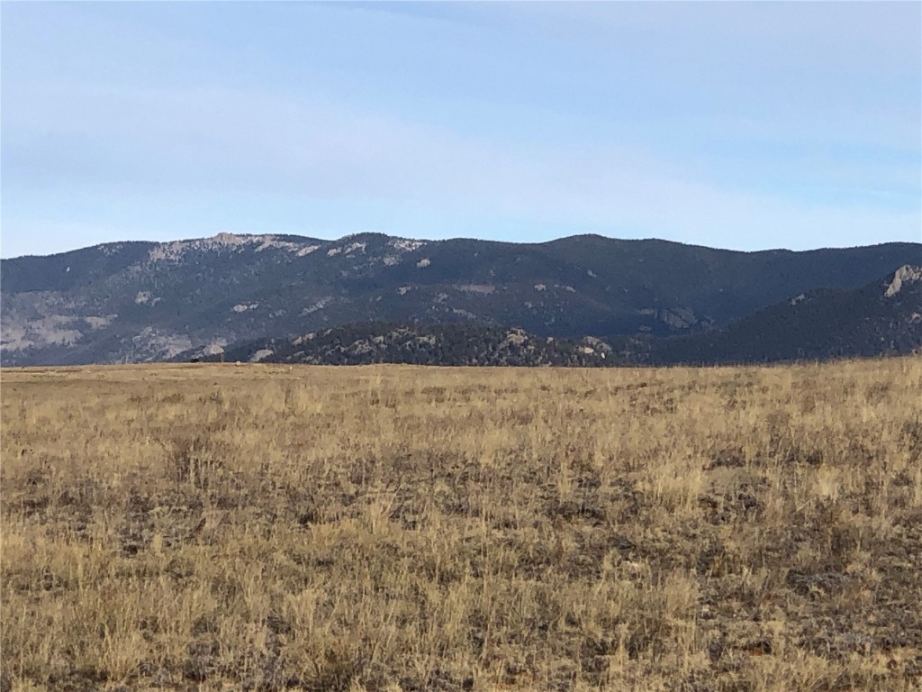 1397 Yellowstone Road Hartsel, CO 80449 - Photo 11 of 13 a view of an outdoor space and mountain view