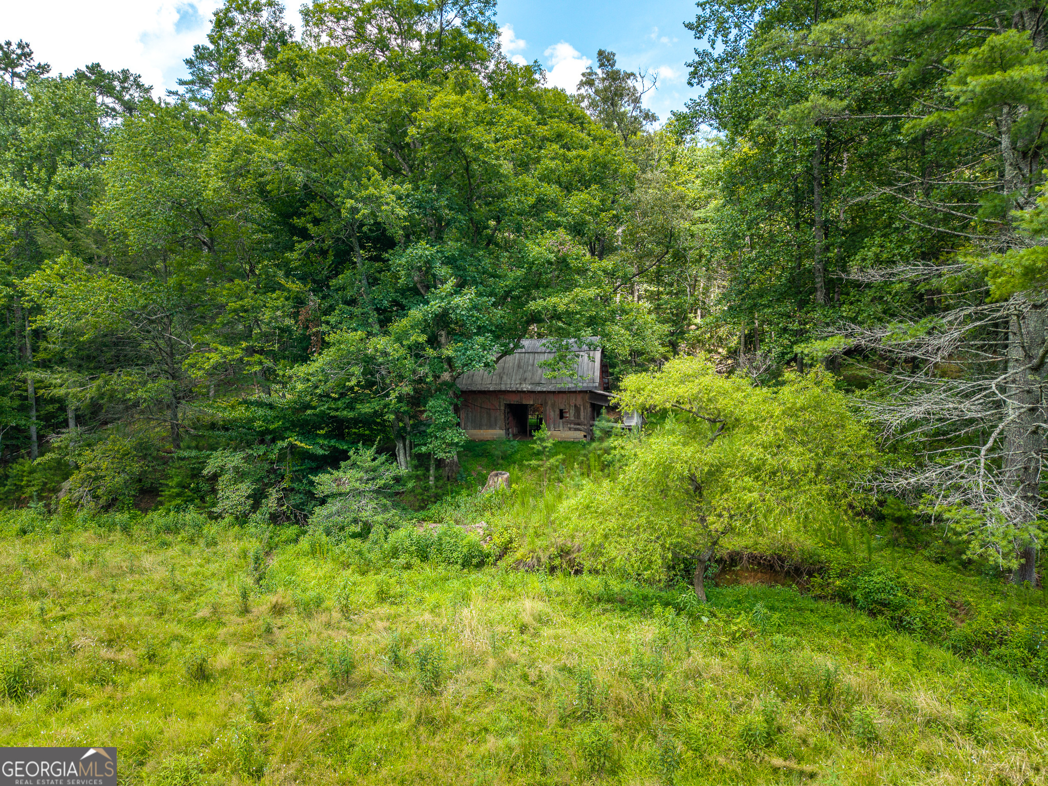 0 White Pine Road McCaysville, GA 30555 - Photo 5 of 32 Gallery Image 5