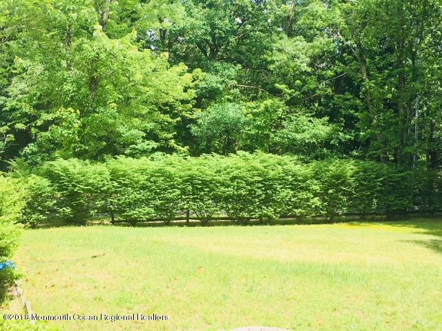 17 Dunbarton Road Jackson, NJ 08527 - Photo 33 of 41 IMG_2482