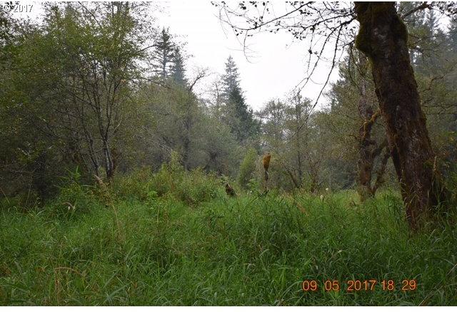 0 Northeast Thompson Road Yacolt, WA 98675 - Photo 6 of 23 Gallery Image 6