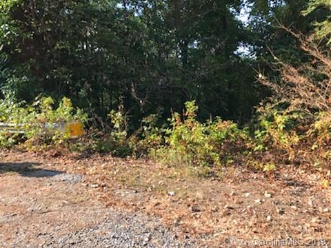 0 Country Club Road Tryon, NC 28782 - Photo 3 of 5 a view of flowers in middle of the yard