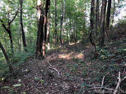 0 Country Club Road Tryon, NC 28782 - Photo 4 of 5 a view of forest