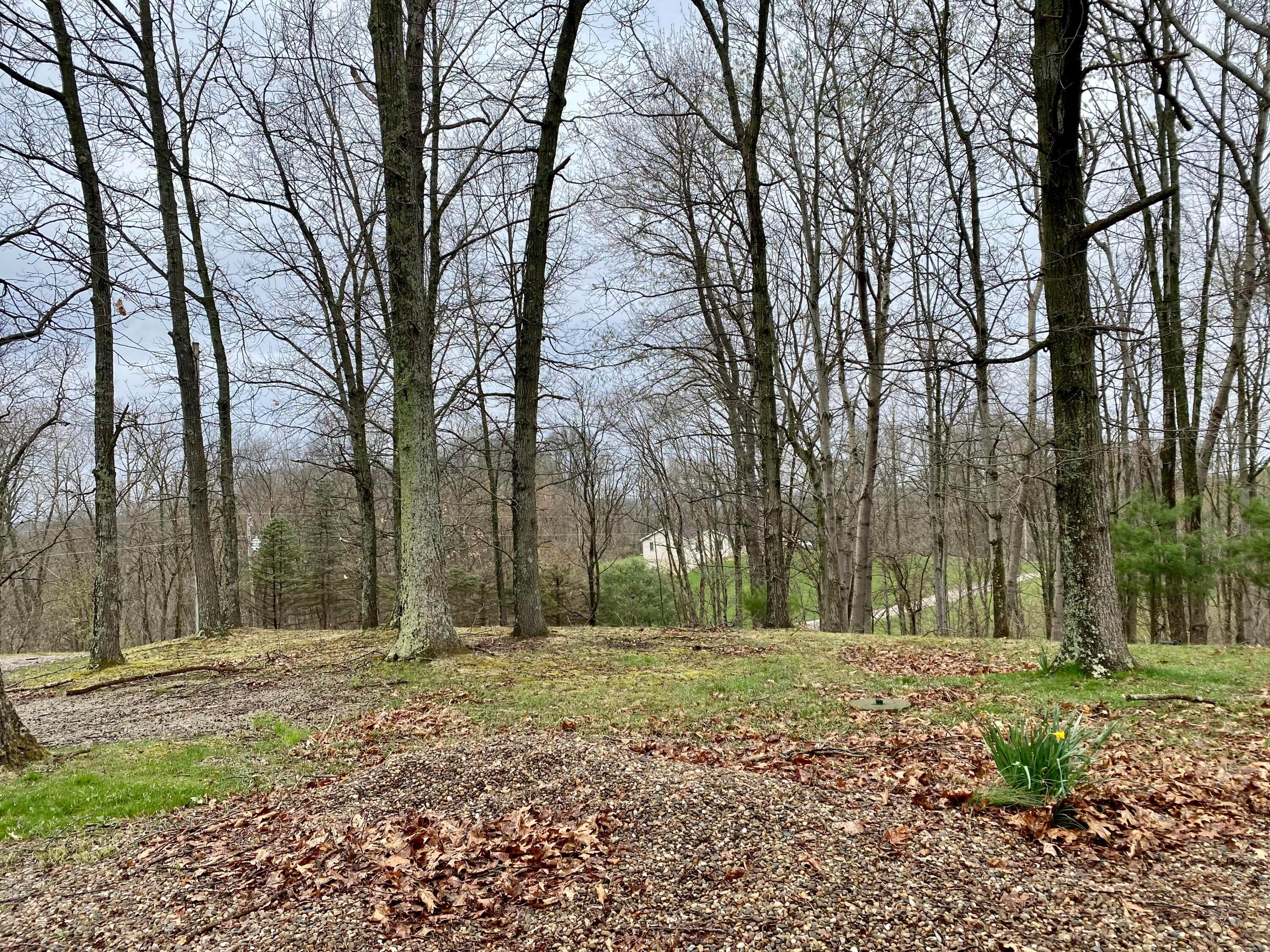 8240 Dozer Ridge Road Philo, OH 43771 - Photo 22 of 28